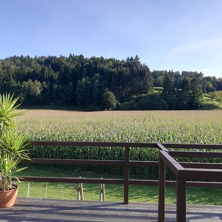 Ferienhaus Am Bach Kirchberg an der Raab Ngoại thất bức ảnh