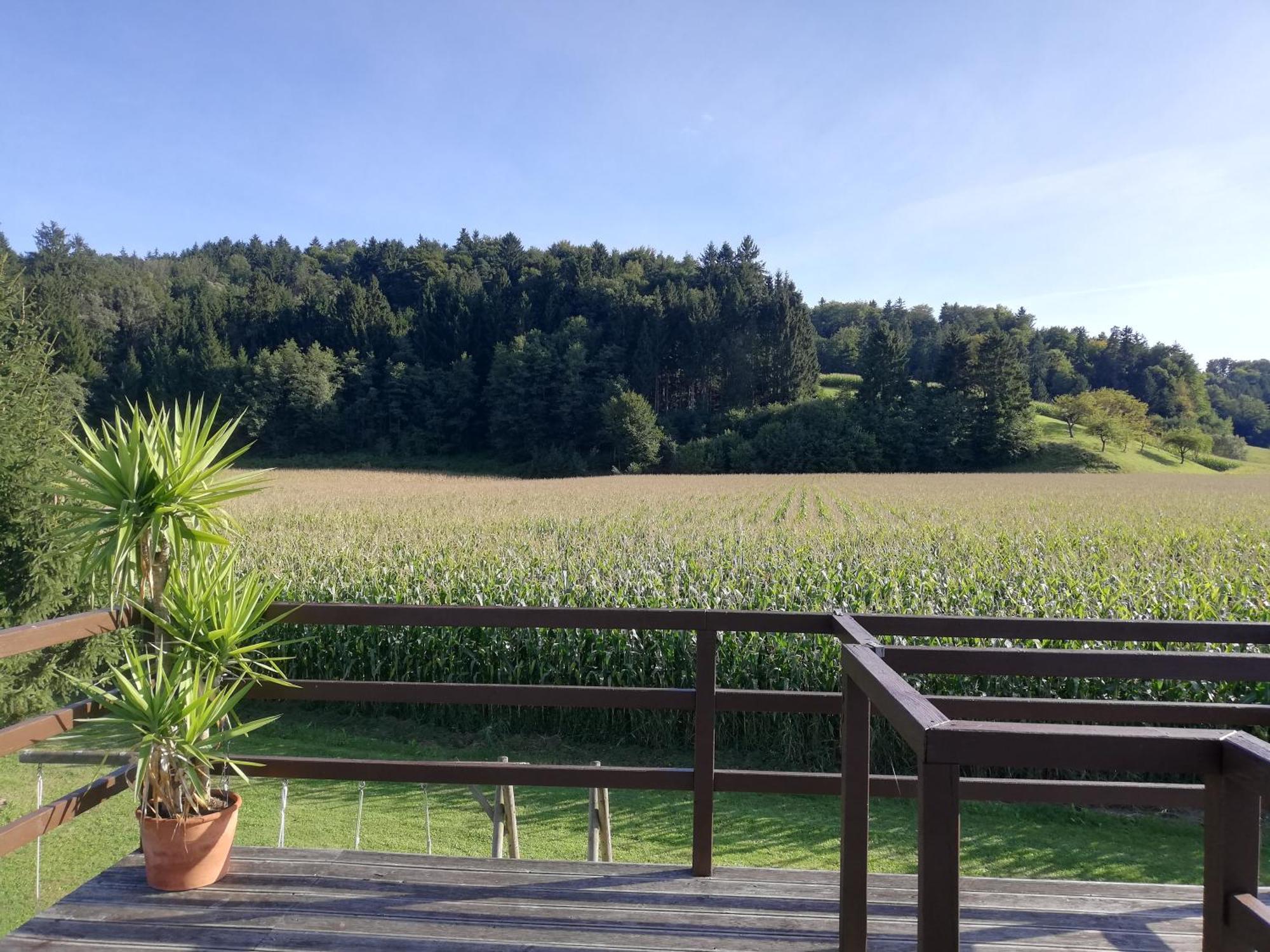 Ferienhaus Am Bach Kirchberg an der Raab Ngoại thất bức ảnh